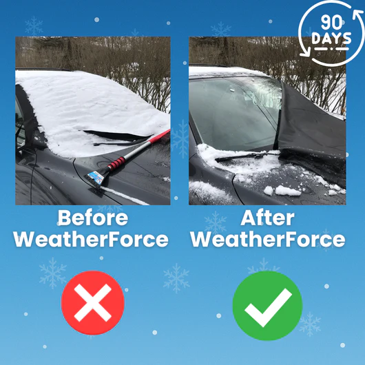 WeatherForce Magnetic Windshield Cover